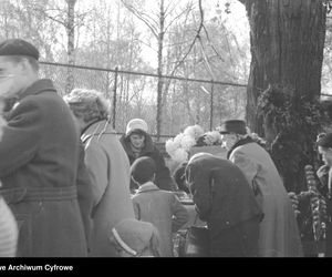 Cmentarze Powązkowskie - 1946-1963