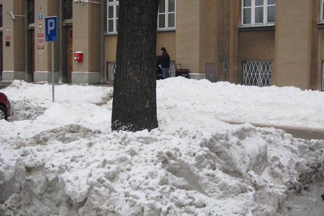 Inwalidzi odśnieżą miasto!