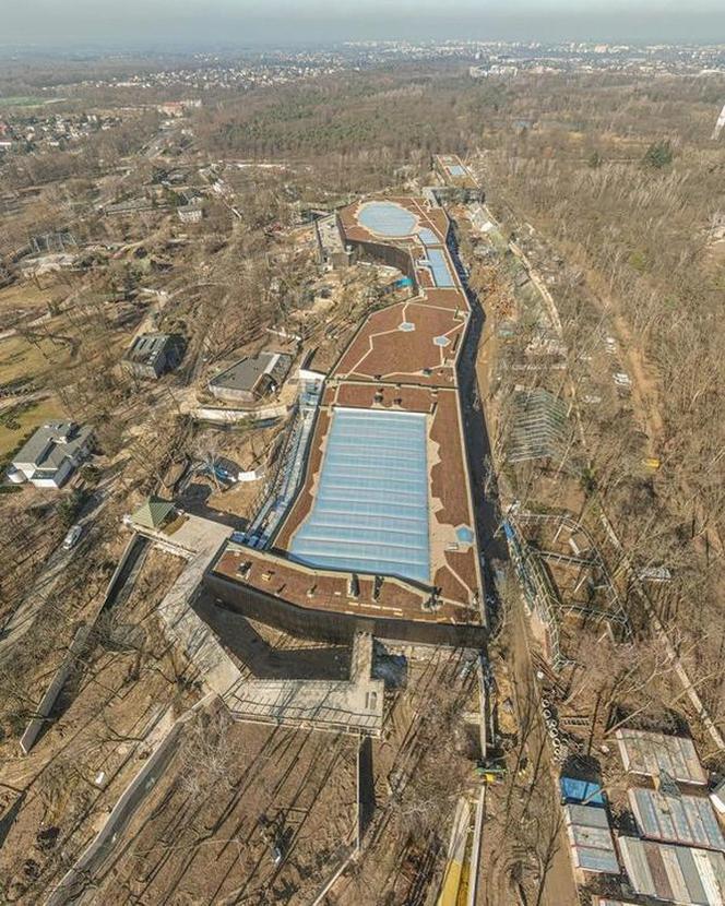 Podwodny tunel z basenem dla rekinów wypełniony wodą! Kiedy otwarcie łódzkiego Orientarium?