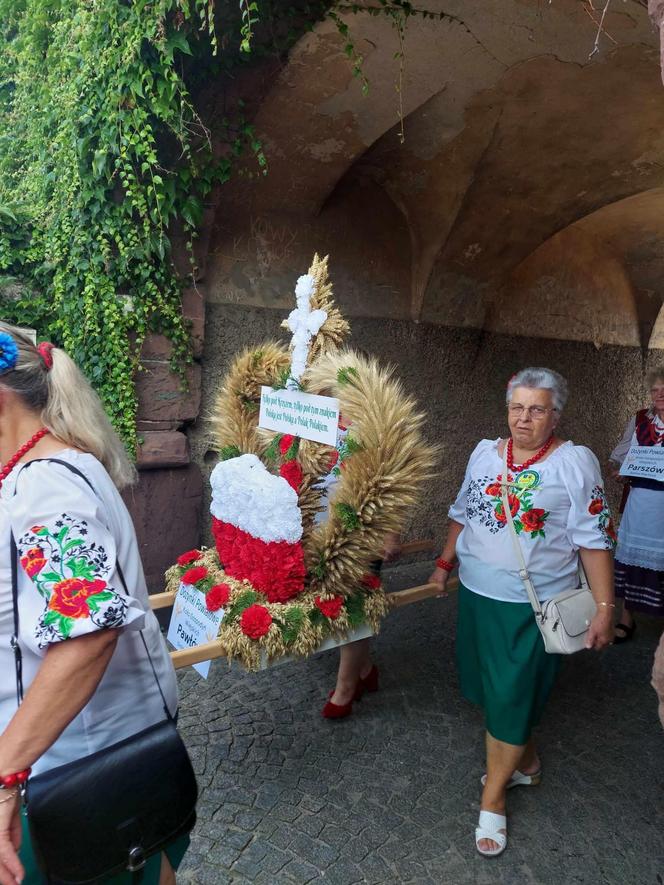 Dożynki 2024 w powiecie starachowickim. W Wąchocku dożynkowe wieńce, korowód i przysmaki