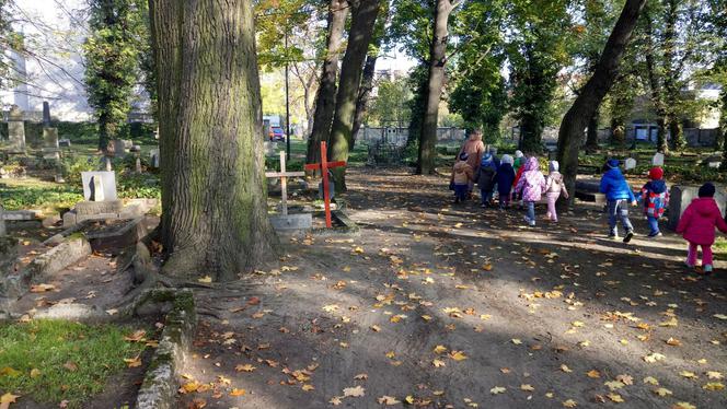 Niezwykła nekropolia w Gliwicach. Ma przeszło 200 lat! [ZDJĘCIA]