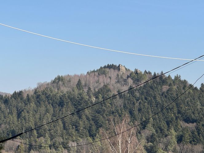 Zamek Kamieniec w Odrzykoniu 