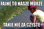 Najlepsze memy o wakacjach nad polskim morzem