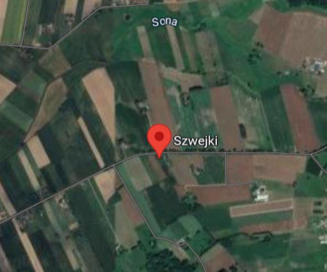 Wieś Szwejki (pow. ciechanowski, pow. sokołowski)