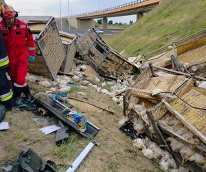 Wypadek w Elizówce. Kierowca był zakleszczony w pojeździe