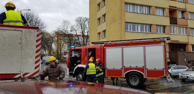 Złamane drzewo uszkodziło samochód na ul. Podhalańskiej w Szczecinie