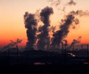 Polska polegnie w walce ze smogiem przez kryzys energetyczny? Prognozy są fatalne