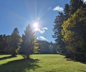 To jedno z najstarszych polskich uzdrowisk najpiękniej wygląda jesienią. Kurowali się w nim Sienkiewicz, Prus, Matejko i Konopnicka