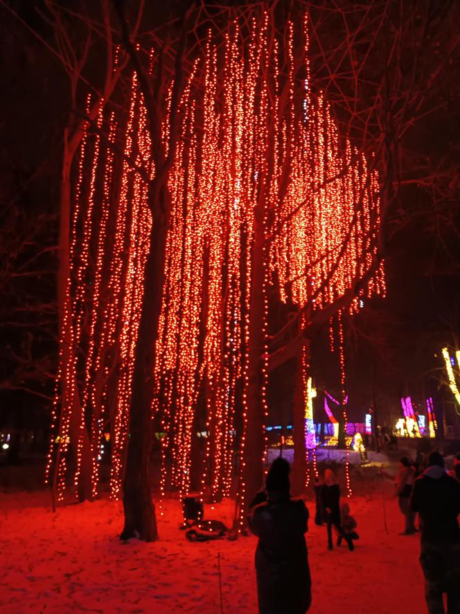 Odwiedziłam Ogród Świateł w Gdyni. Poczuj ze mną magiczny klima