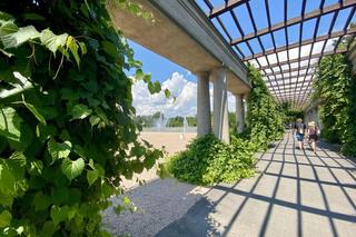 Co warto zobaczyć we Wrocławiu? Te miejsca są najpiękniejsze. Sami je wybraliście! [GALERIA]