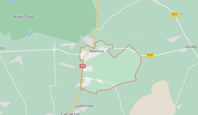 Nadleśnictwo Niemce
