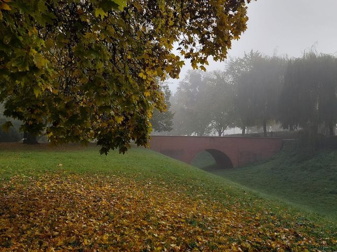 Zamojski Park jesienią