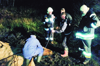 Wyciągnęli Baśkę z bagna