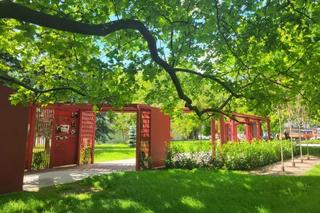 Tak wygląda nowy Ogród Krakowianek