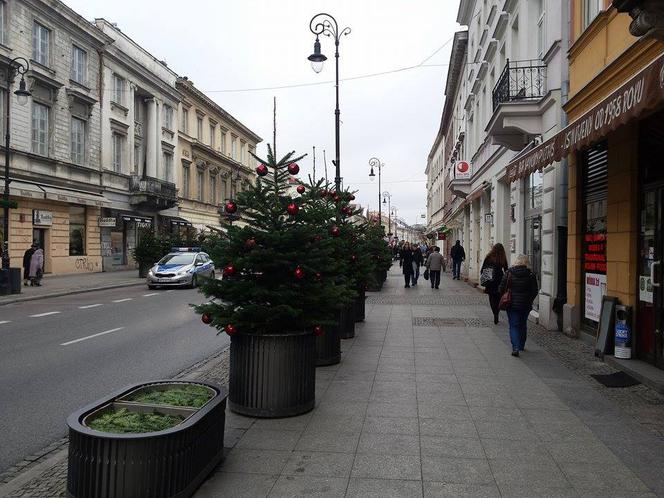 Choinki na Nowym Świecie