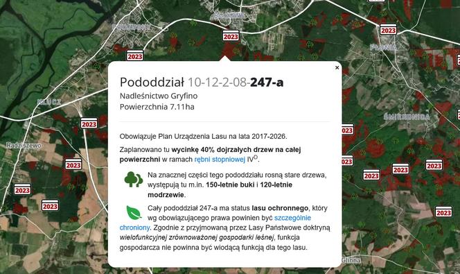 Wycinka lasów w Szczecinie i regionie 