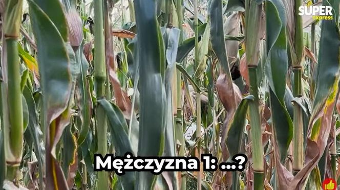 Mieszkańcy Kodeńca i Wyhalewa mówią o ataku rosyjskich dronów. "Huk i strach"