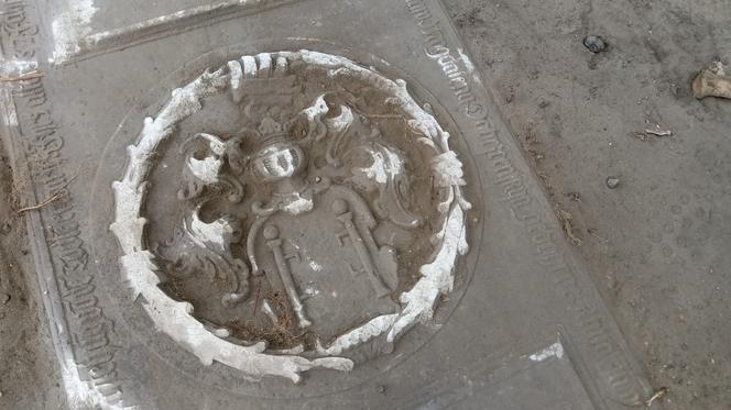 W Parku Jonstona w Lesznie odkryto grób z XVII wieku [AUDIO]