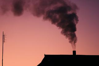 Polska traci 26 mld zł rocznie przez smog