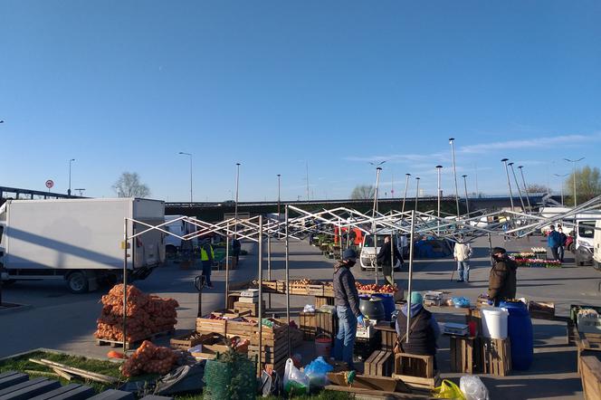 Dziś ruszył handel na Targowisku Miejskim w Starachowicach. Ruch niewielki(ZDJĘCIA)