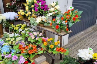 Cmentarz na Junikowie dwa tygodnie przed Wszystkimi Świętymi 2024