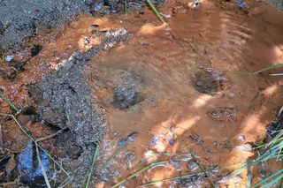 Nieznana atrakcja turystyczna. Mofety można znaleźć tylko w jednym regionie Polski