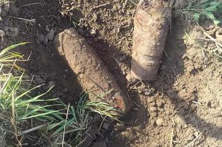 Niebezpieczne znaleziska podczas prac polowych. Saperzy musieli interweniować aż trzy razy