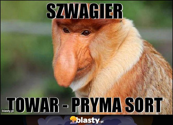Memy na Dzień Szwagra 