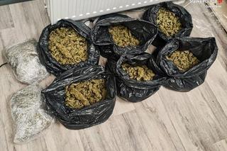 Mocne uderzenie w narkobiznes w Sosnowcu. Przejęto ponad 9 kg narkotyków