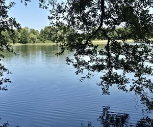 To jedno z największych jezior w Olsztynie. Kusi turystów piaszczystymi plażami