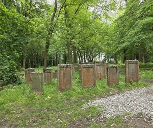 Cmentarz żydowski w Leżajsku