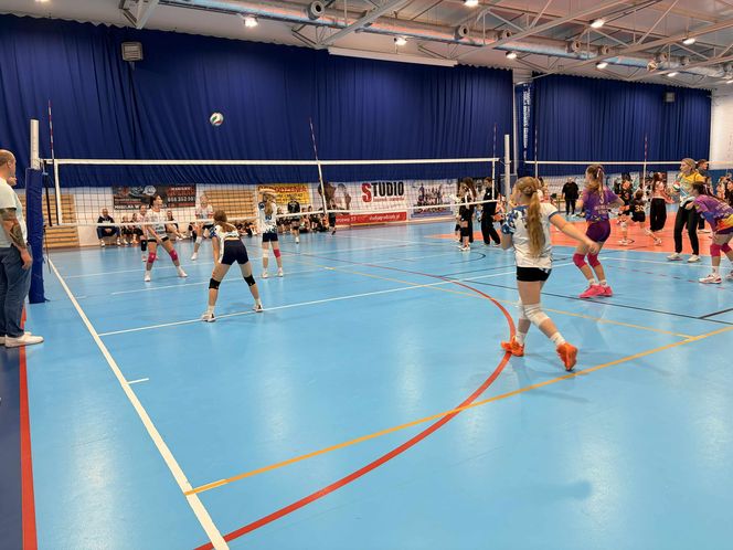 Siatkarski turniej z okazji Święta Niepodległości w Grudziądzu