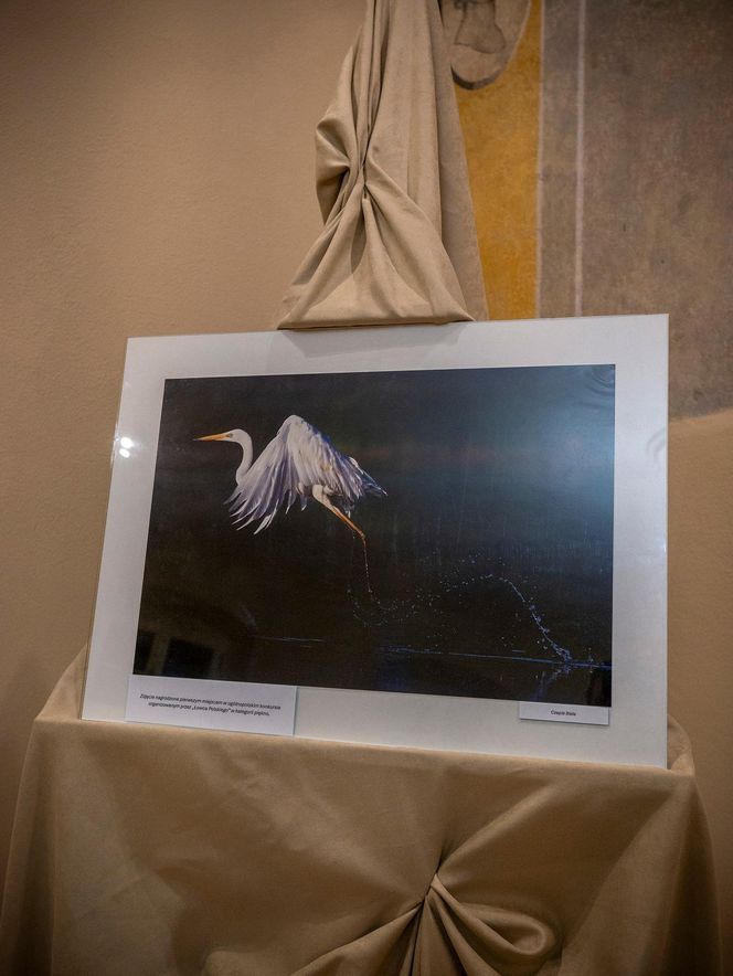 Wystawa fotografii przyrodniczej w Koźminku