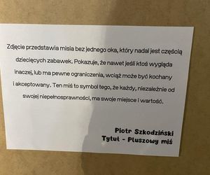 Laureaci konkursu fotograficznego „Przyjaźń bez barier” nagrodzeni