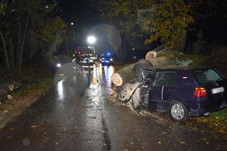 Drzewo spadło na jadący pojazd 