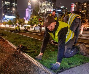 Wielki powrót tramwajów na Marszałkowską. Pojadą po zielonym dywanie