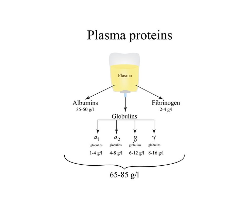 Osocze: czym jest i jaką pełni funkcję? Kiedy podajemy osocze?