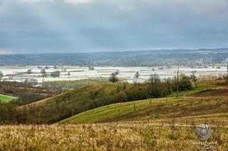 Rozlewisko Odry w powiecie gryfińskim 