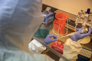 Koronawirus w Wielkopolsce. Nowy rekord zakażeń. Jest coraz gorzej!