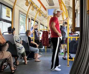 Katowice jak patelnia. Obowiązuje ruch cieniostronny. Nawet gołębie chowają się w cieniu