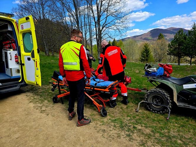 Turysta ukąszony przez żmiję.