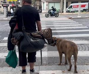 Paryż wstydzi się bezdomnych