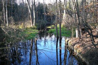Nazwa tej rzeki na Podkarpaciu może przywoływać dziwne skojarzenia. Występuje w niej ponad 300 gatunków