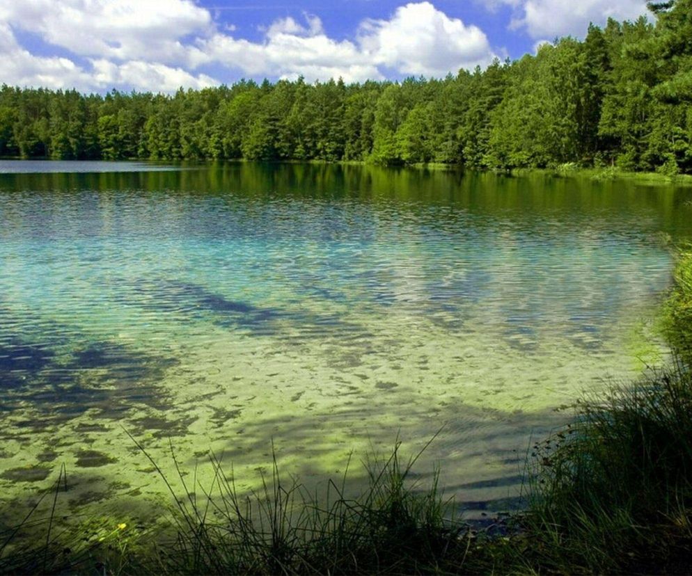 Polskie Malediwy na Mazurach. To jezioro ma nieskazitelnie czystą wodę
