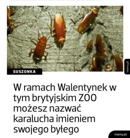 WALENTYNKI 2020 MEMY