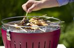 Grill
