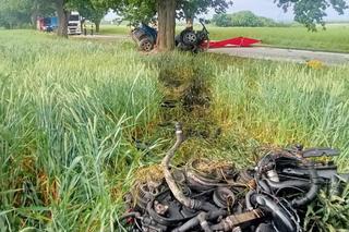 Bmw wbiło się w drzewo. Nie żyje młody kierowca! Potworna kraksa podczas wyprzedzania