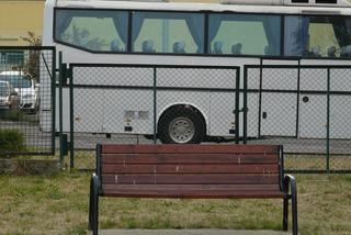 Strajk branży transportowej. Autokary krążyły po Olsztynie. Firmy umierają