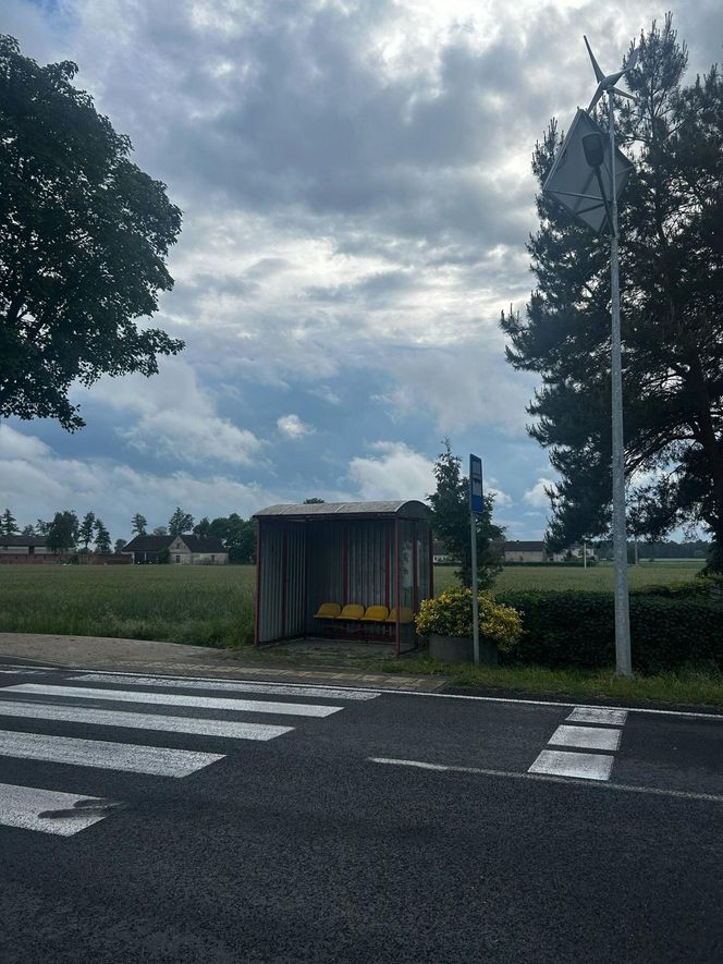 Jaś już nigdy nie wróci do domu. Rok po tragedii Romanów wciąż płacze za 7-latkiem