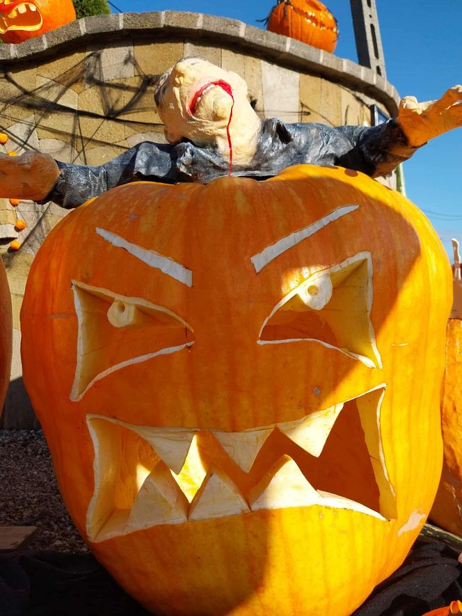 U Łukasza z Pawłowa hasło "cukierek albo psikus" nabiera innego wymiaru. Najbardziej halloweenowy dom świętokrzyskiego